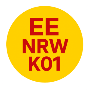 E-Learning EENRWK01